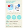 Sleeping Princess Washable Skin Comforter, Made in Japan, Single, Rosary,