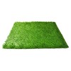 Downtown Pet Supply Dog Potty Grass - Puppy & Dog