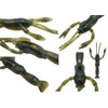Dstyle EBISON BOY 2.7 inch Lake Shrimp