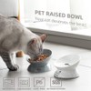 SWEEJAR Ceramic Raised Cat Bowls, Slanted Cat Dish Food or