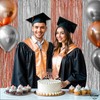 Silver & Rose Gold Foil Fringe Curtain Pair