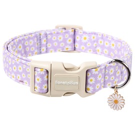 Lionet Paws Floral Dog Collar- Cute Daisy Purple Dog Collars with Plastic Buckle, Light Adjustable Dog Collars for Small Dogs