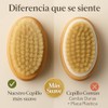 Cepillo Corporal exfoliante 100% Natural Suave, Libre de Plástico, Mango