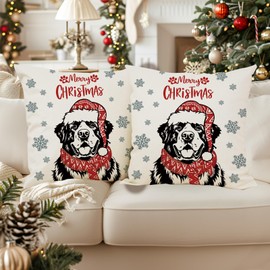 QIONG MENG Christmas Pillow Covers 18x18 Inch Set of 2 Saint Bernard Christmas Decorations Pillowcase Xmas Dog Throw Pillow Covers Home Sofa Living Room Decorative Cushion Case