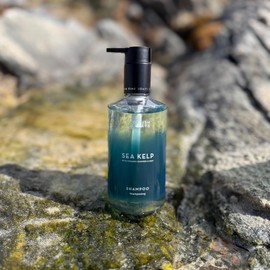 Scottish Fine Soaps Sea Kelp Shampoo 300ml – Nourishing Hair & Scalp Shampoo with Sea Kelp, Magnesium and Seaweed Extracts