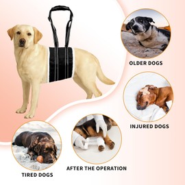 Dog Lift Harness for Hind Legs | Adjustable Dog Support Harness Post-Surgery Recovery Sling | Dog Sling Mobility Aid for Senior, Disabled & ACL Rehab | Padded Handle & Breathable Design (Middle-sized)