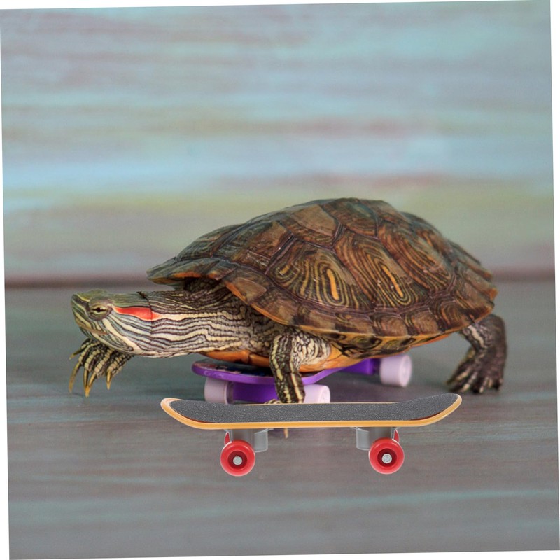 BESPORTBLE Turtle Skateboard Toy for Reptiles Mini Skateboard Antislip for