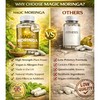 Magic Moringa Capsules High Strength Plant-Based Superfood Supplement for Daily