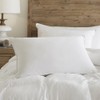 IHG Touch of Down Pillow Found in Holiday Inn Express,