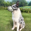 Muzzle for Large Dogs, Prevent Chewing/Eating/Biting Dog Muzzle Breathable Reflective