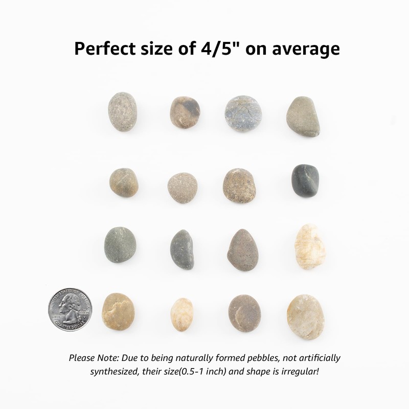 20 LBS Natural River Rocks - 1/2-1 inch Pebbles, Screened