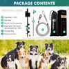 Duckygoo Dog Tie Out Cable & Stake with Lock-Cap, Heavy