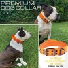 ADITYNA Heavy Duty Dog Collar for Extra-Large Dogs - Reflective