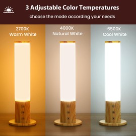Caromolly Daylight Lamp, Light Therapy Lamp with 3 Colour Temperatures & 5 Brightness Levels, Simulation of Daylight, Flicker and UV-Free LED Daylight Light, Ideal for Homes and Office