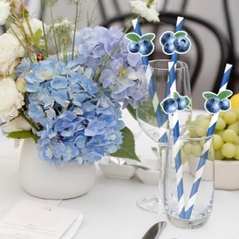 50PCS Blueberry Party Decorations, Blueberry Drinking Straws Blue Fruit Theme Birthday Paper Straw Blueberry Decorations for Adults Kids Cute Fruit Birthday Baby Shower Thanksgiving Party Supplies