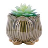 Segreto Creative Succulent Plant Pots Ceramic Planter