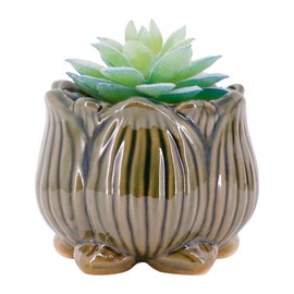 Segreto Creative Succulent Plant Pots Ceramic Planter