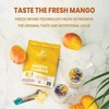 Jungle Powders Freeze Dried Mango Powder 7 Ounce Bag, Fruity