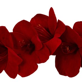 Nearly Natural 4549 5’ Amaryllis Silk Garland