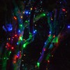 Wintergreen Lighting SoftTwinkle Slow Twinkling Christmas Lights, Soft Twinkle String
