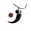 Grant Field Specimens Grizzly Bear Claw Necklace