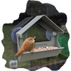 Small lightweight window mounted bird Feeder station with strong suction