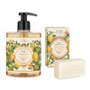 Panierdessens Essentials Bundle (Liquid Marseille Soap & Vegetable Soap), Made