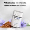 Codeage Akkermansia Muciniphila Probiotic Ultra - High-Potency 500M AFUs Akkermansia
