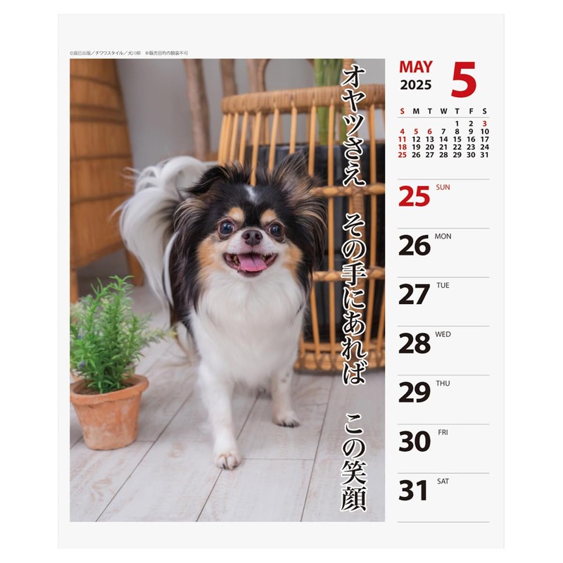 2025 Chihuahua Senryu (Weekly Turning) Calendar No. 025