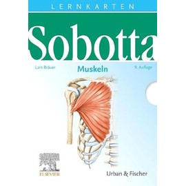 Sobotta Lernkarten Muskeln: Muskeln