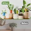 4 Pack Terracotta Watering Spikes, Self-Watering Plant Stakes for Indoor