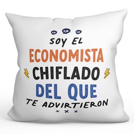 Mugffins Cushion with Filling with Saying for Ökonom - In Spanish - Todos te Advirtieron - 40 x 40 cm - Original and Funny Gift Employee