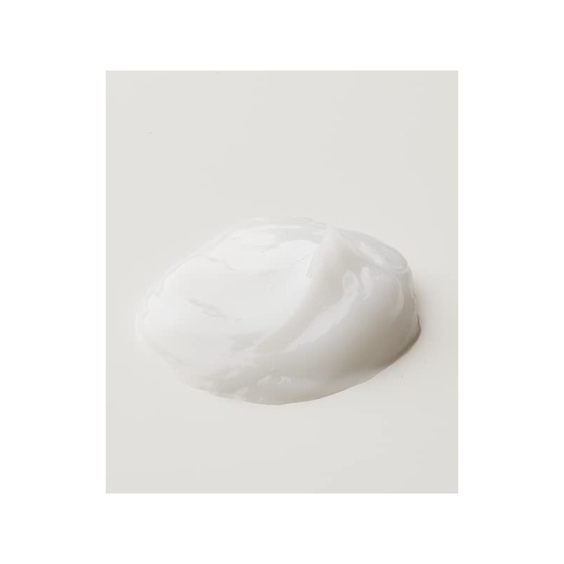 Inujirushi Honpo Spa Cream Treatment CT037