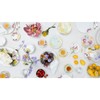 Royal Albert Miranda Kerr Australiana Collection Bone China 16cm Plate,