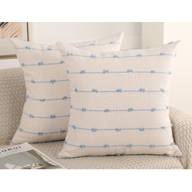 NUYECY Set of 2 Boho Throw Pillow Covers 16x16,Light Blue and White Neutral Couch Pillow Case with Tassel Fringe Decorative,Modern Accent Farmhouse Cushion Covers for Sofa Couch Bed Living Room