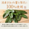 Loquat Leaf Tea, Made in Japan, 0.1 oz (3 g)