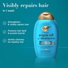 OGX, Shampoo Renovador de Aceite de Argán, 385 ml