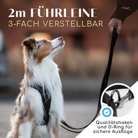 FREUDENTIER Clyde Dog Lead 2 m, Adjustable Lead, Soft Padded, Comfortable in the Hand, Robust Dog Lead for Medium and Large Dogs, Model Clyde (Black, 25 mm)