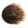 Afro-Pferdeschwanz-Extensions, amerikanisch, lockig, kurzes Haar, Afro-Pferdeschwanz, amerikanisch (30,5 cm, 1B/27#)