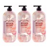 On The Body 약산성바디워시 온더바디 수퍼보타닉 로즈 피오니 바디샴푸 900g