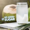 Jans Coconut Water, No Sugar Added (12-Pack 16.57 Fl Oz)