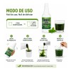 Clorofila Menta Hierbabuena 500 Pronacen Suplemento Natural