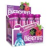 Zipfizz Daily Energy Drink Powder, Berry, 12 Pack | 3-in-1