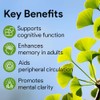Nutridom Nutridom Ginkgo Biloba 12000 mg C Extra Strength 24%