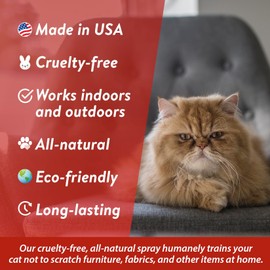 Bodhi Dog No More Scratching! Cat Deterrent Spray - Indoor & Outdoor Repellent with Essential Oils - Anti Scratch for Furniture - Made in USA (8 oz)