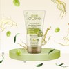 Dalan d'Olive Hand and Body Cream 60 ml Set of