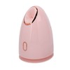 Facial Steamer with 100ml Water Tank Moisturizing Cleaning Pores Mist