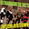 Critical Beatdown [Vinyl LP]
