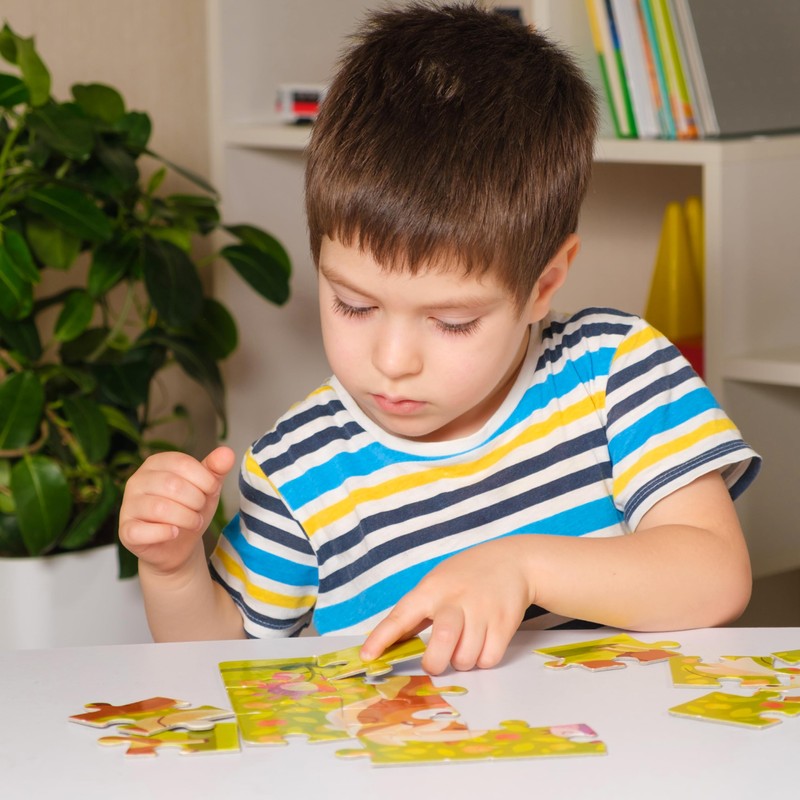 Puzzles for Kids Ages 4-8, 14 Pack Wooden Jigsaw Puzzles