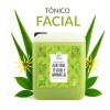 Tónico Facial Productos Mart Mexico Aloe Vera Té Verde Hamamelis